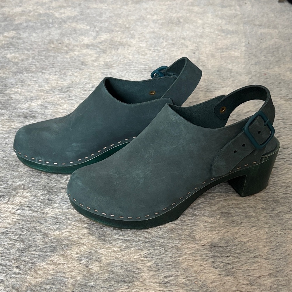 Bryr Daphne, spruce color